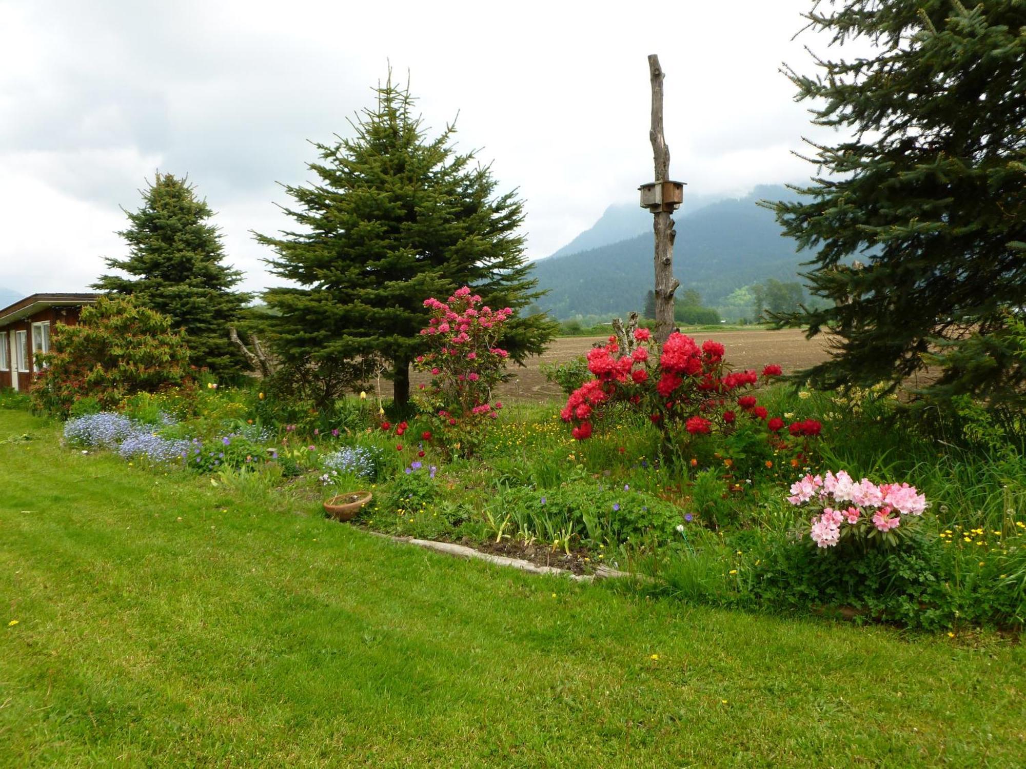 Harrison Hammond House Farmstay Harrison Mills Екстериор снимка