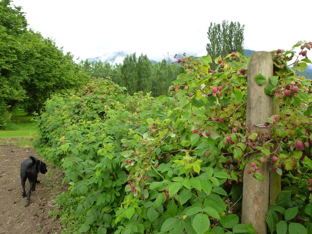 Harrison Hammond House Farmstay Harrison Mills Екстериор снимка