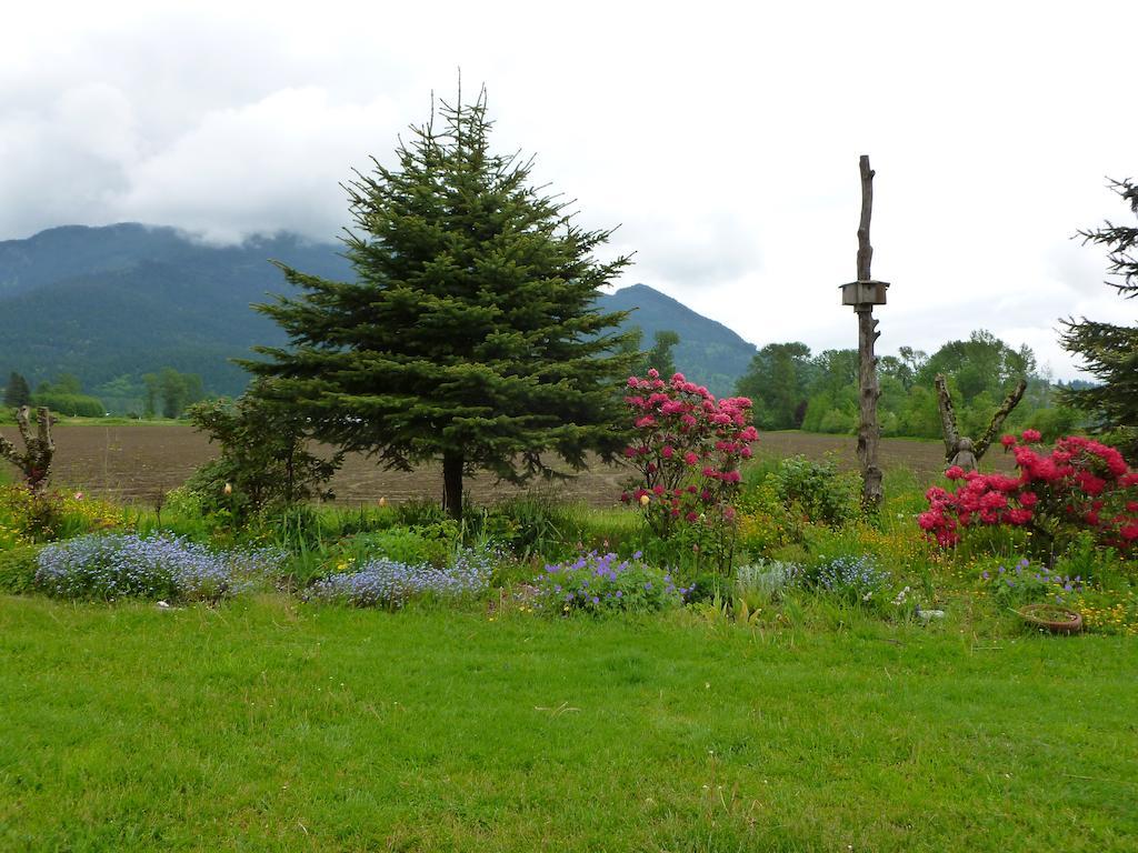 Harrison Hammond House Farmstay Harrison Mills Екстериор снимка
