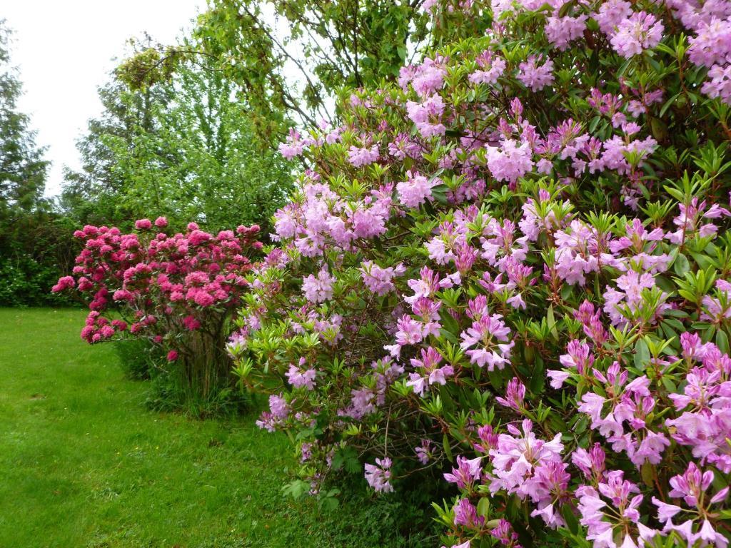 Harrison Hammond House Farmstay Harrison Mills Екстериор снимка