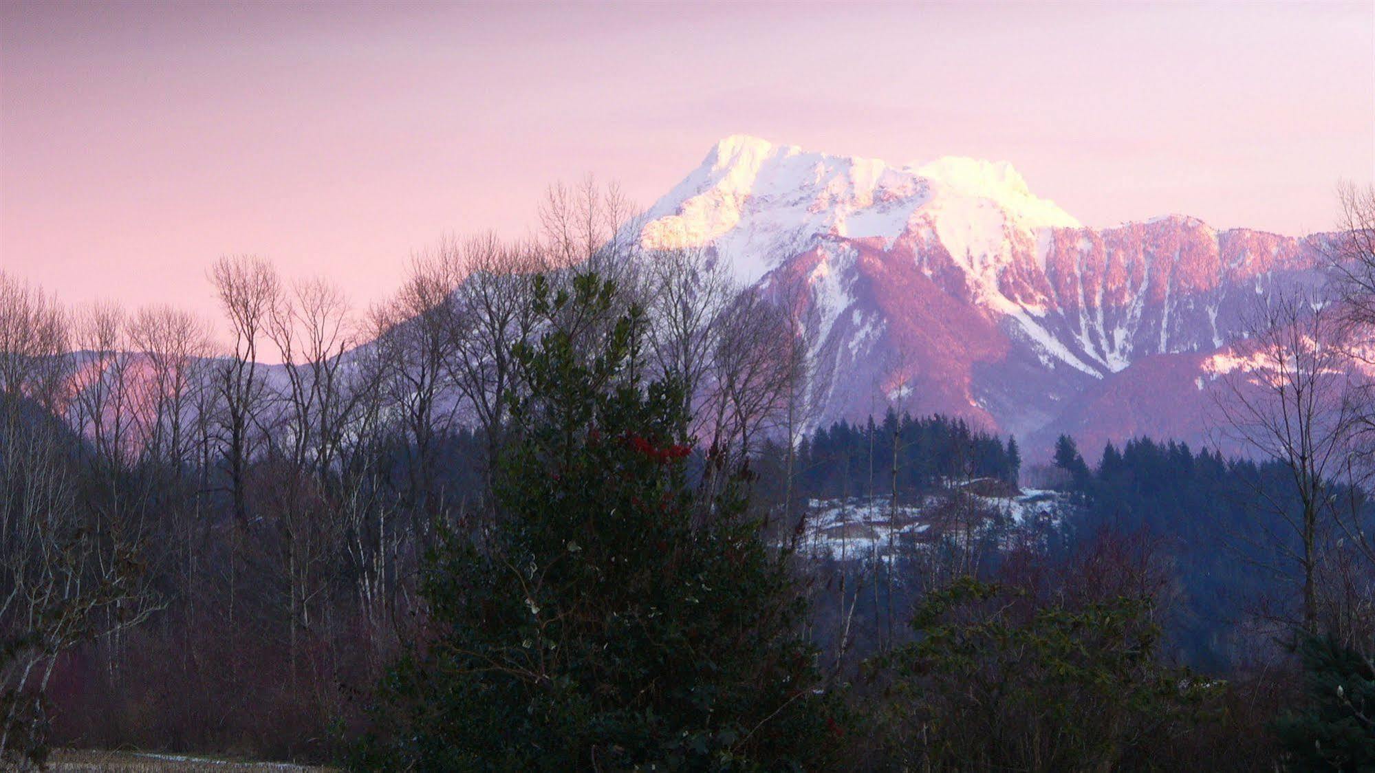 Harrison Hammond House Farmstay Harrison Mills Екстериор снимка